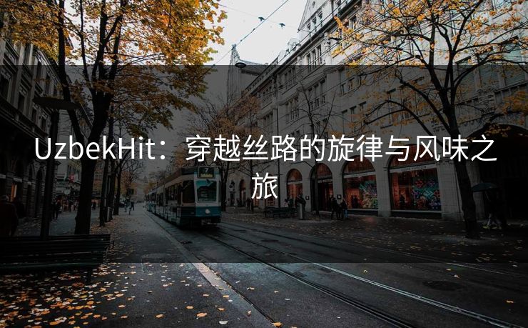 UzbekHit:穿越丝路的旋律与风味之旅 UzbekHit:穿越丝路的旋律与风味之旅