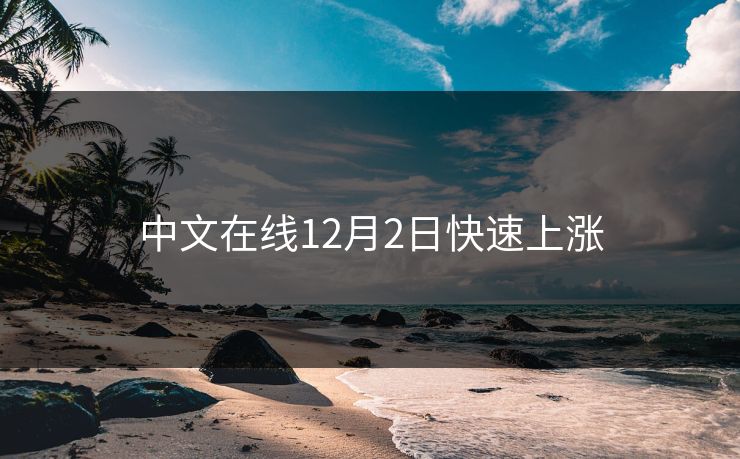 中文在线12月2日快速上涨