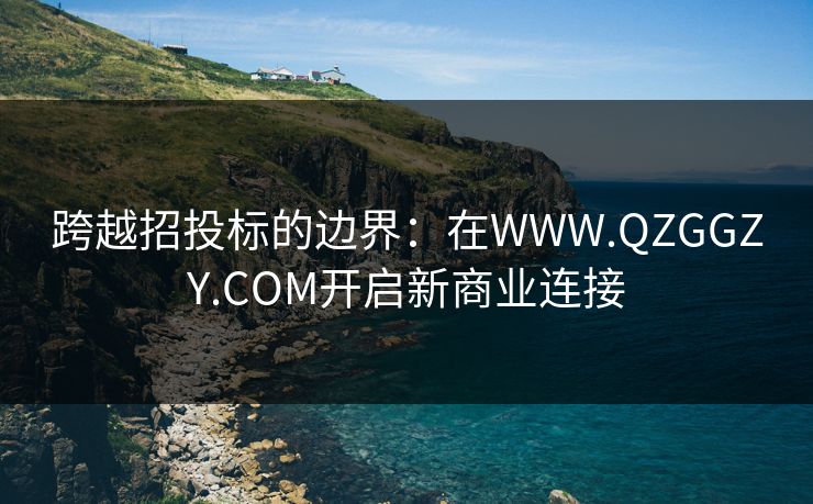 跨越招投标的边界：在WWW.QZGGZY.COM开启新商业连接